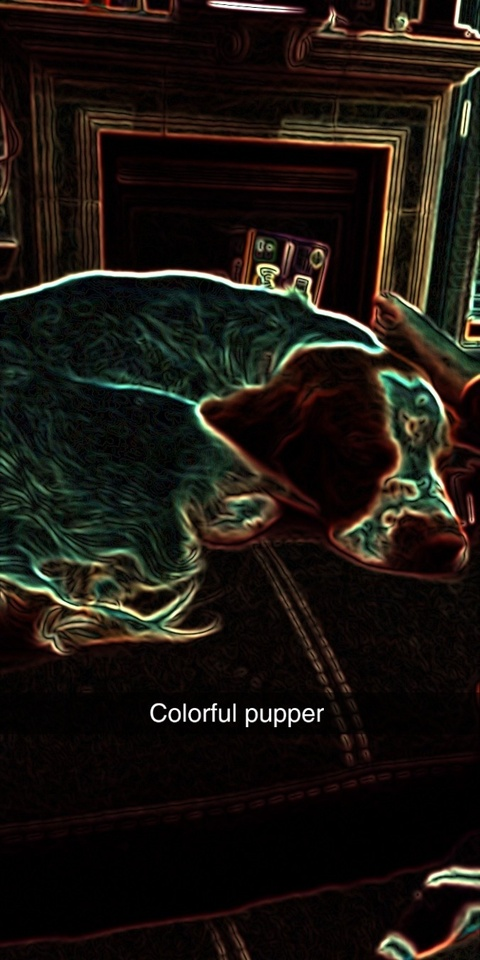 jessiejoy07132019 header picture leakfans.com