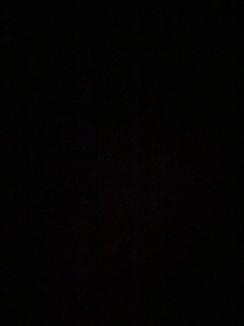 jessieu header picture leakfans.com