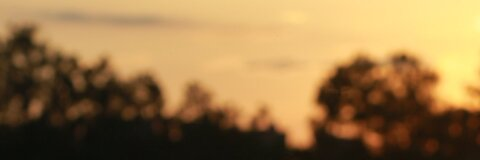 jiaduobao11 header picture leakfans.com