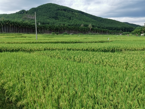 jkk1314 header picture leakfans.com