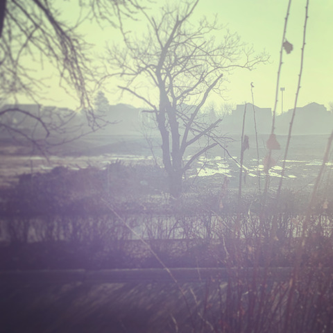 joddiev_1 header picture leakfans.com