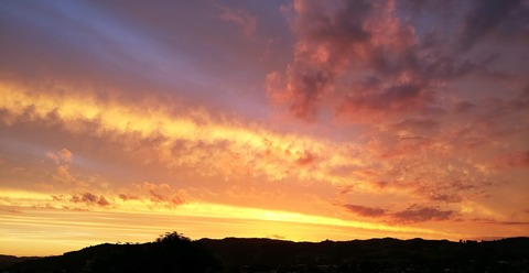 joelforthemoment header picture leakfans.com