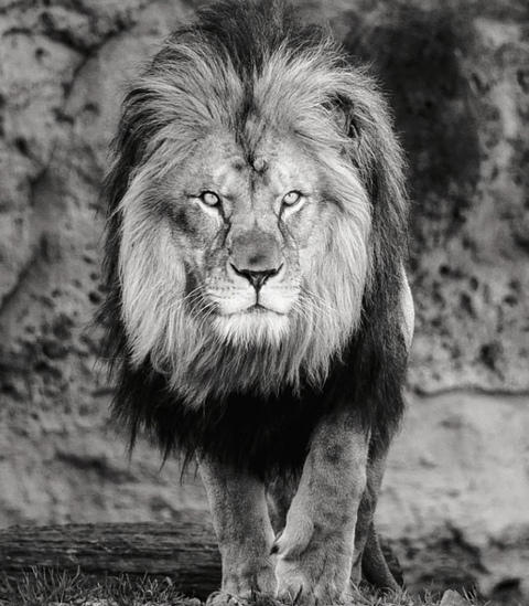 johnchevalier header picture leakfans.com