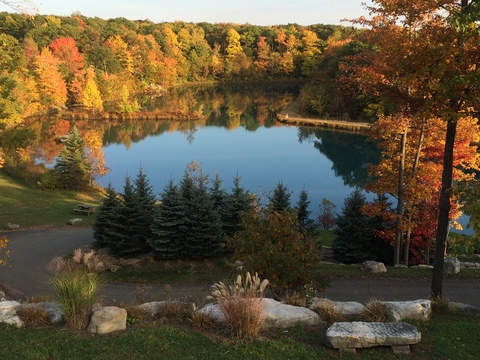 jojo7821 header picture leakfans.com