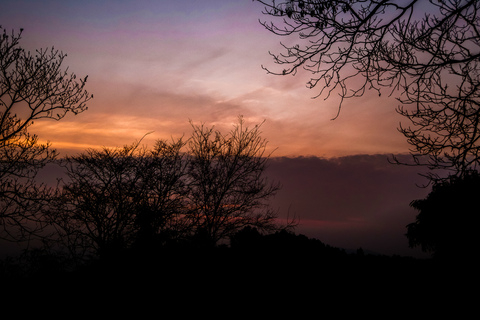 jojokat header picture leakfans.com