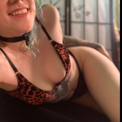 jojokittens header picture leakfans.com