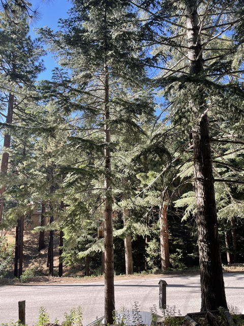 jonnyxxx8888 header picture leakfans.com