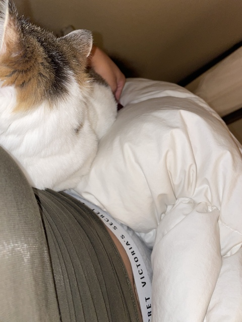 jordyyxo header picture leakfans.com