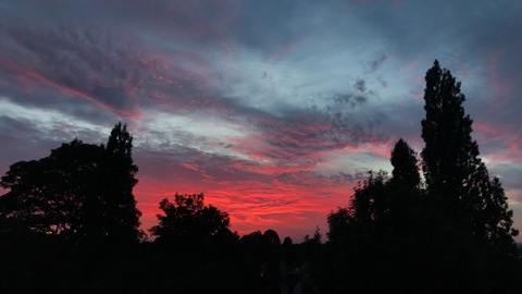 josiewosie header picture leakfans.com