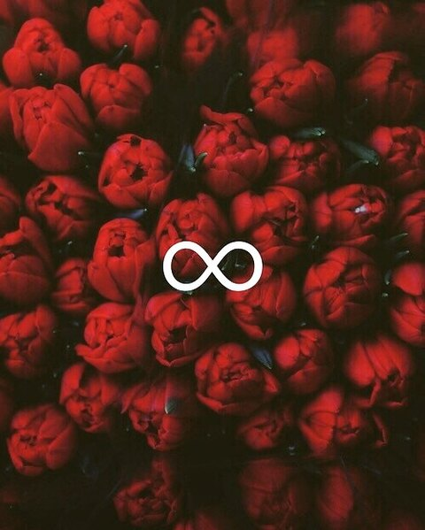 journey header picture leakfans.com