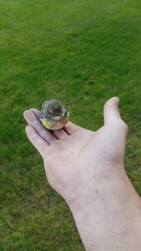 jpschick header picture leakfans.com