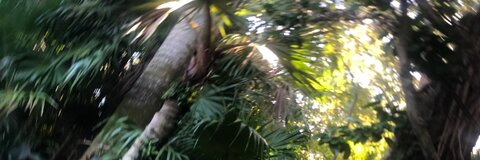 juicymangolips header picture leakfans.com