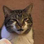 juicymeme profile picture leakfans.com