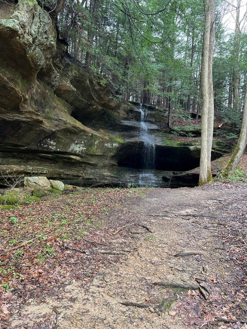 juizytamal header picture leakfans.com