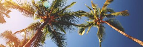 jumpingforjoya header picture leakfans.com