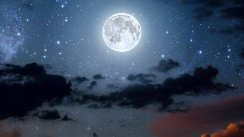 junepetals header picture leakfans.com