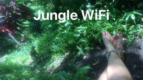 Header of junglelady52