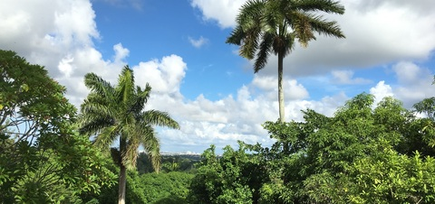 junky_nudes header picture leakfans.com