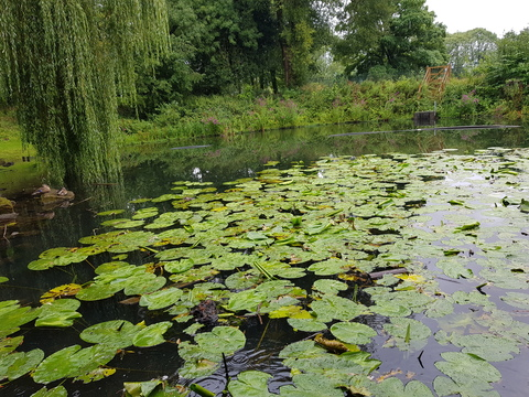 justabitofsnow header picture leakfans.com