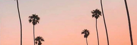 justcantstahp header picture leakfans.com