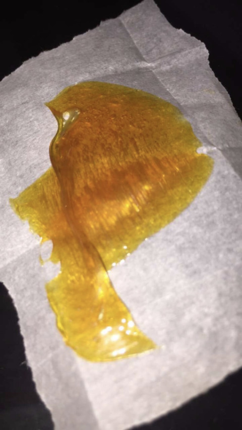 justinarose header picture leakfans.com