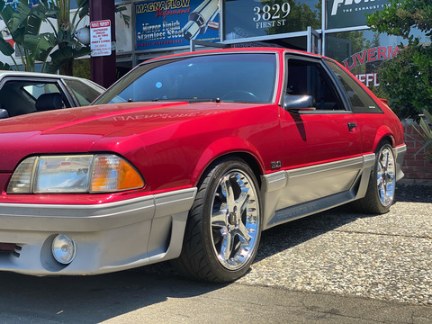 justmustangtingz header picture leakfans.com