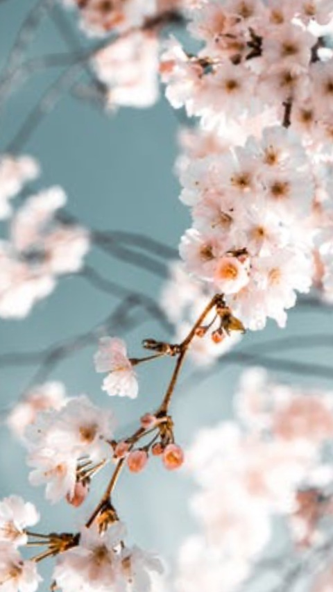 juvenile_97 header picture leakfans.com