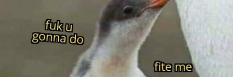 k3llin header picture leakfans.com