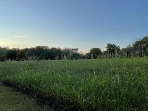 kambria666 header picture leakfans.com