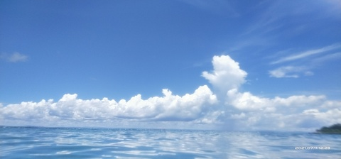 kantot header picture leakfans.com