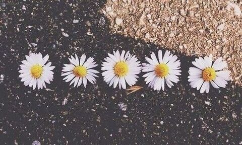 karencorralesjimenez header picture leakfans.com