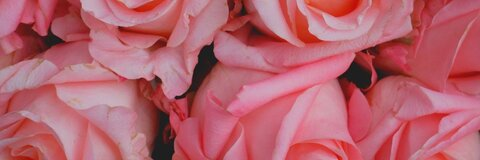 karleelove header picture leakfans.com