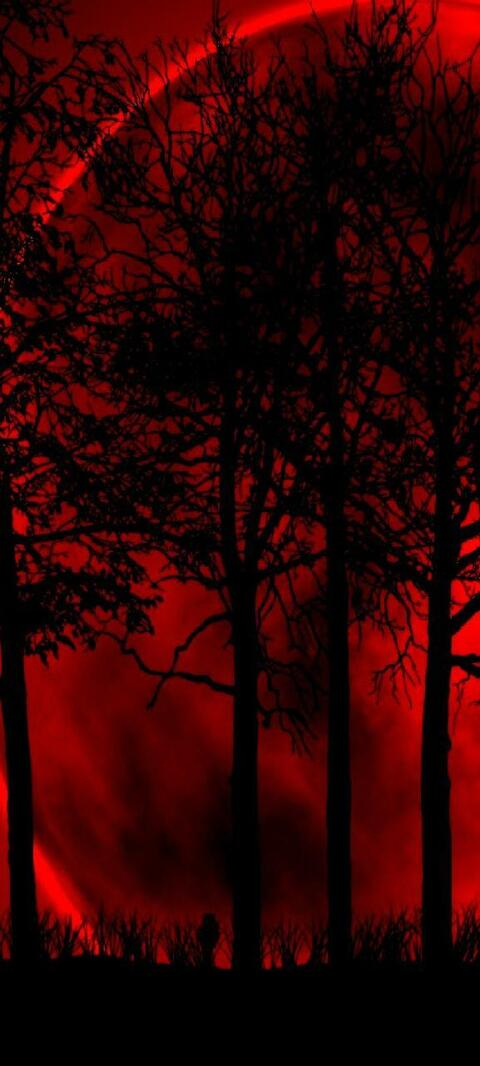 karli_venom header picture leakfans.com