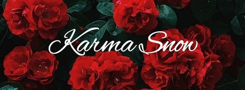 Header of karmasnow