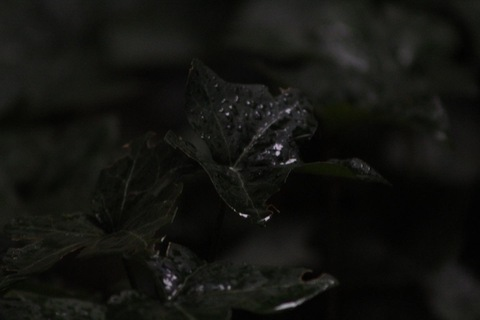 kate.1989 header picture leakfans.com