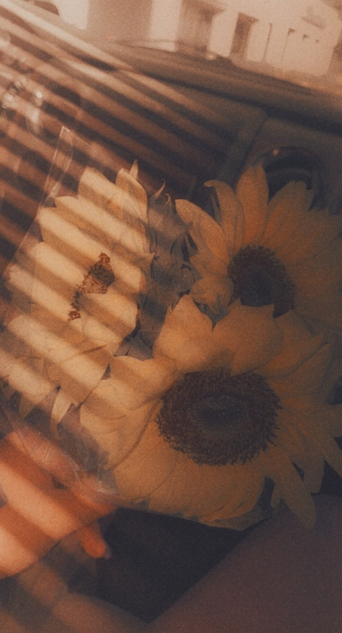 kate_1229 header picture leakfans.com