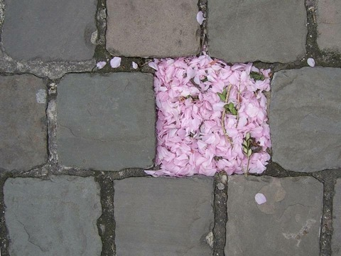 katealice header picture leakfans.com