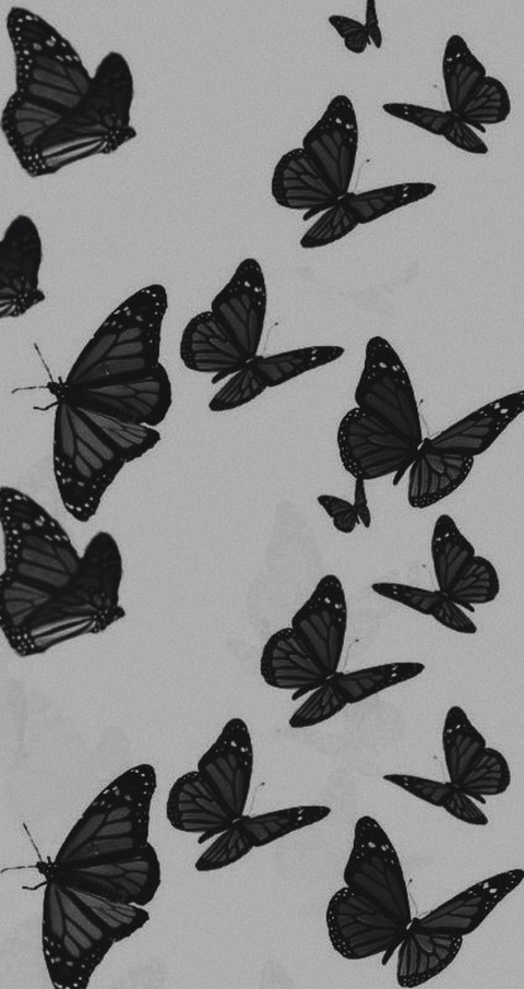 Header of katebelle0216