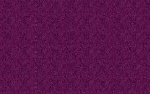 katie-lee25 header picture leakfans.com