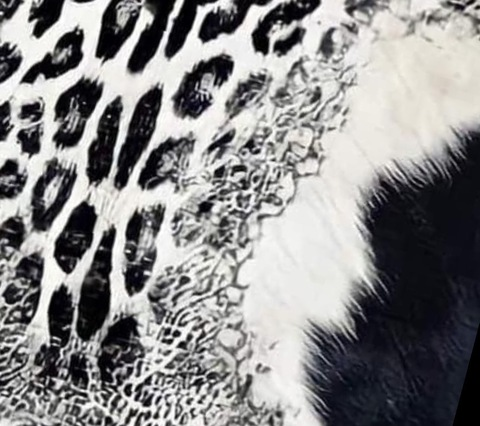 katie_babyy012 header picture leakfans.com