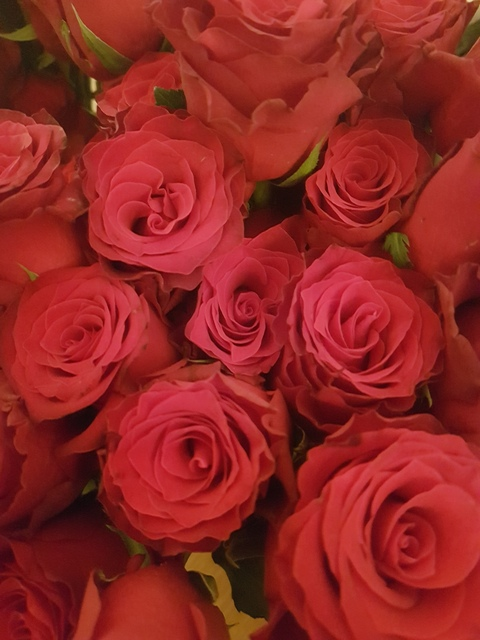 katiewild93 header picture leakfans.com