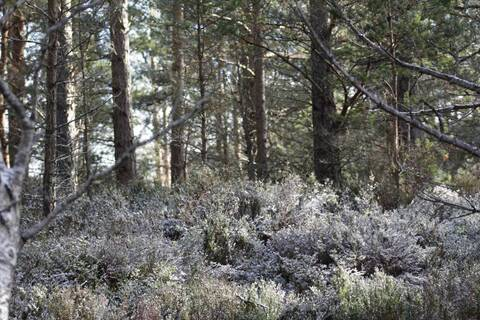 katress header picture leakfans.com