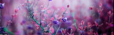 kayceelenka header picture leakfans.com