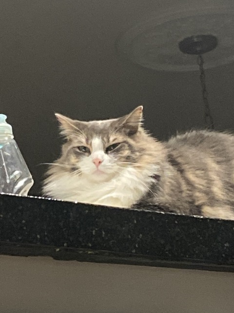 kaykrisify header picture leakfans.com