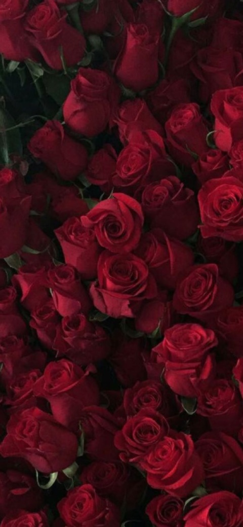 kaylabaylababyy header picture leakfans.com