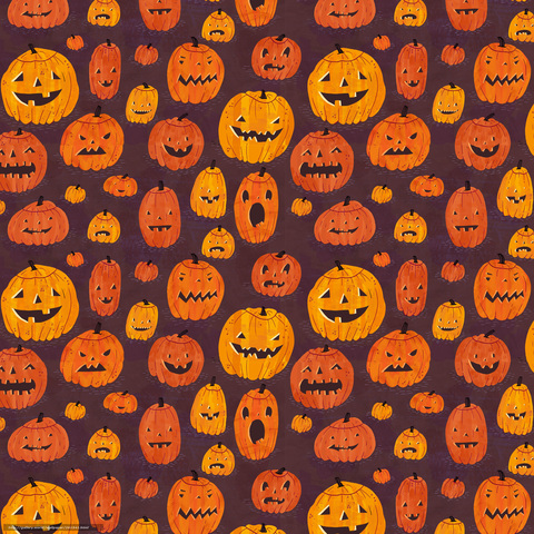 kaylamariexo header picture leakfans.com