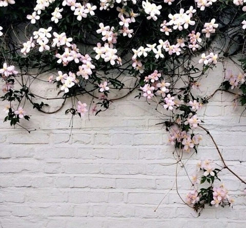 kayleefaylee header picture leakfans.com