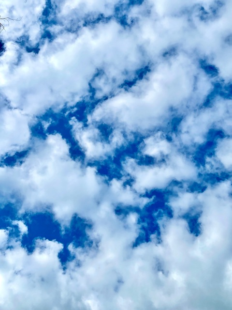 kaylynn222 header picture leakfans.com