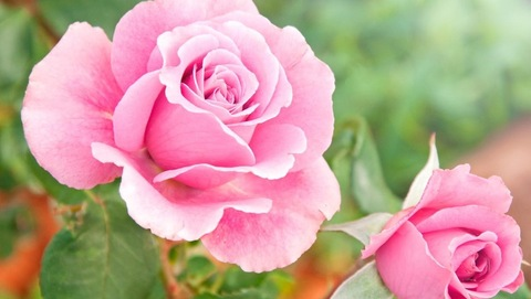 kaytee_x header picture leakfans.com