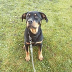 keezziee profile picture leakfans.com